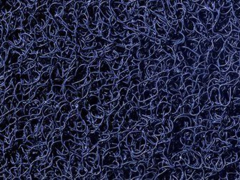  3M Nomad Terra 6050 modra 