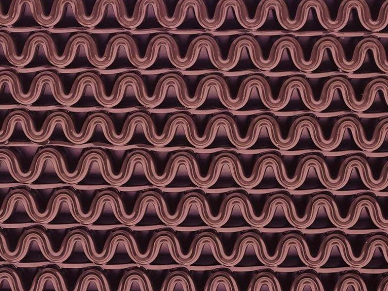  Lješnjak smeđa (chesnut brown) 